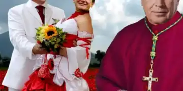 Sa dovedit: Partidele politice reprezintă DOAR nişte grupuri infracţionale organizate!!