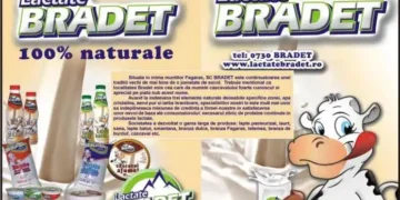Bacteria E-coli, descoperită în brânza de vaci de la Lactate Brădet, din Curtea de Argeș. Produsele firmei, comercializate și la Auchan, Profi și Metro
