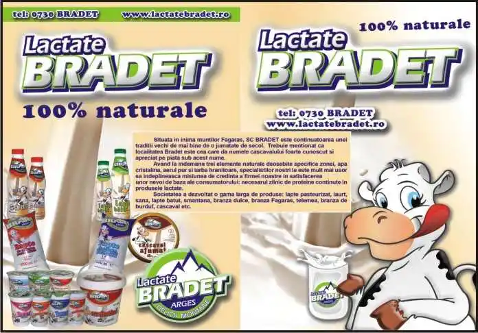 Bacteria E-coli, descoperită în brânza de vaci de la Lactate Brădet, din Curtea de Argeș. Produsele firmei, comercializate și la Auchan, Profi și Metro