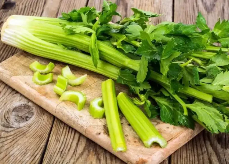 Retete impotriva oboselii, a frigiditatii si impotentei