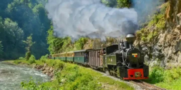 Cu Mocănița pe Valea Vaserului, în Maramureș
