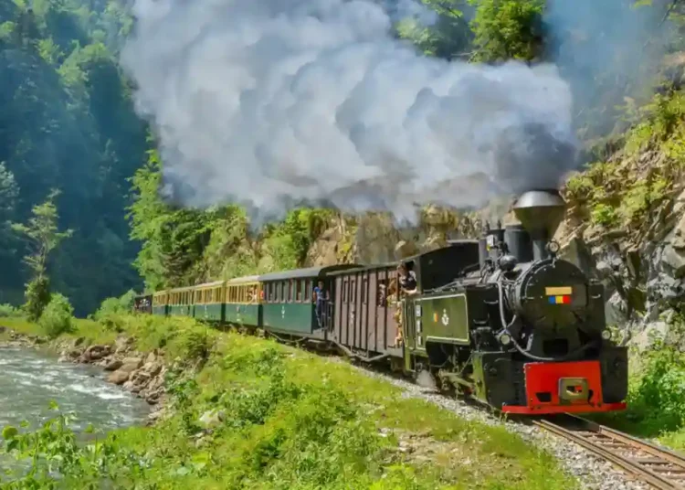 Cu Mocănița pe Valea Vaserului, în Maramureș