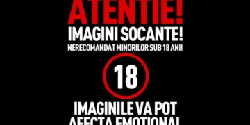 SOC SI GROAZA: Nemaivăzut pe autostrăzile lumii.
