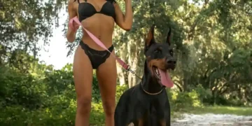 Caz şocant în Iaşi! 15 câini  MALTRATATI de o femeie!