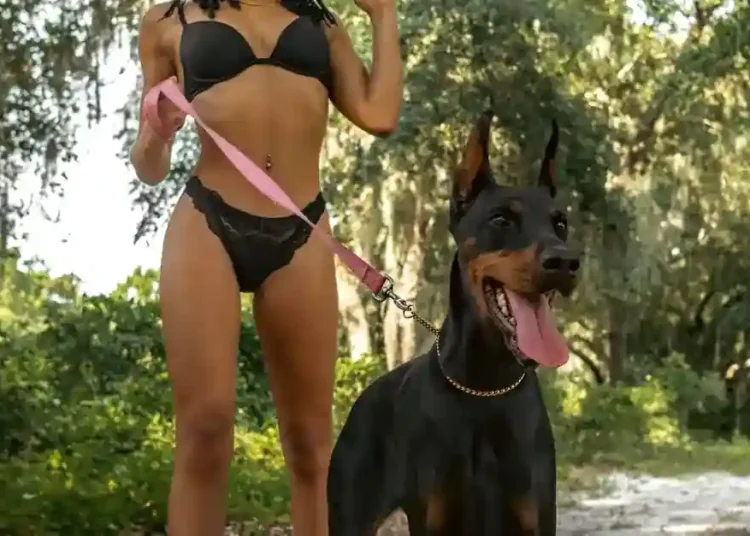 Caz şocant în Iaşi! 15 câini  MALTRATATI de o femeie!