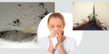 (P) Solutia ideala pentru prevenirea si indepartarea mucegaiului si a igrasiei !