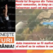 Rise Project: Raport DGPI – INCULPATUL Dragnea deține majoritatea acțiunilor la purtător la Tel Drum