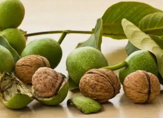 Nucul te scapa de durerile articulare