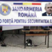 Astăzi este Ziua Jandarmeriei Române!!!