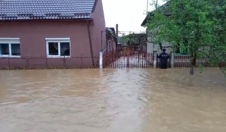 Botoşani: Mai multe case din comuna Drăguşeni au fost inundate în urma ploilor torenţiale