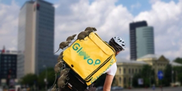 SOCANT: Sectorul 1. Bandele de șobolani atacă bicicliști Glovo și le fură mâncarea