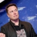 Elon Musk vrea implantarea cipurilor în creier!¡