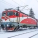 Tren plin de copii blocat pe Valea Prahovei. Mai mulţi copaci au căzut pe şine