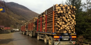 Cei ce agresează pădurari vor primi pedepse cu închisoarea mai mari decât acum.