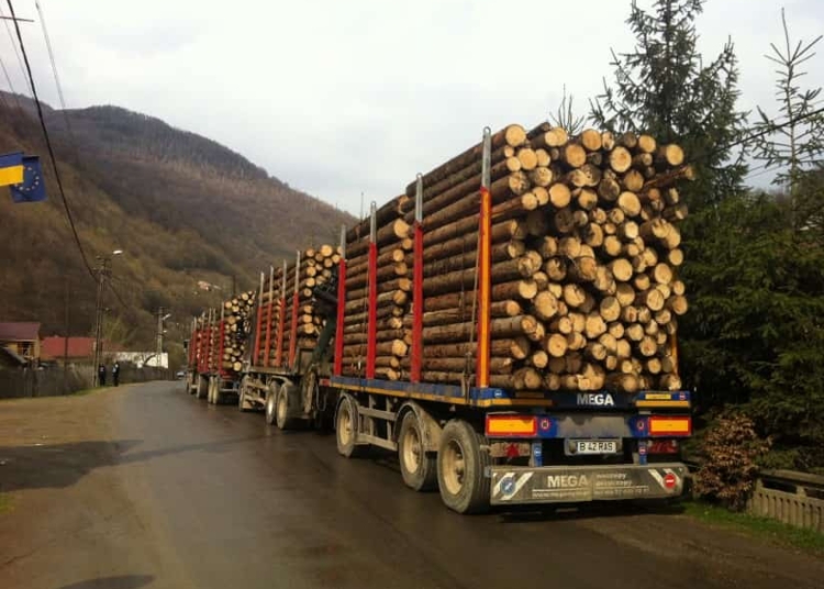 Cei ce agresează pădurari vor primi pedepse cu închisoarea mai mari decât acum.