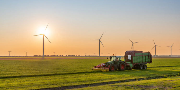 Agricultorii cer intervenția rapidă a Guvernului. „Nu vom mai avea nici produse, vom avea închideri masive de afaceri, vom avea şomaj”