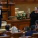 Ziua în care au venit trolii. Şoşoacă şi Simion au făcut bullying în Parlament în timpul votării sancţiunilor pentru deputaţii agresivi