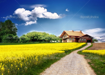 UNUL VREA LA TARA, ALTUL, LA ORAS…