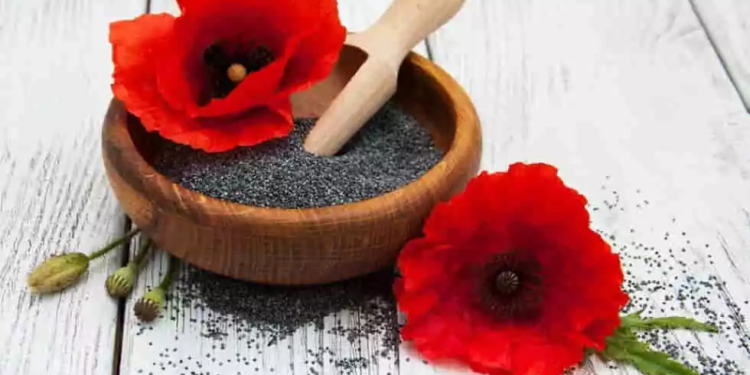 Beneficiile neașteptate ale semințelor de mac. Iată de ce ar trebui să le consumi mai des!