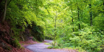 Parcul Național Cozia, una dintre minunile României