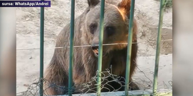 Tesla a livrat primele camioane electrice Semi, cu trei ani întârziere.