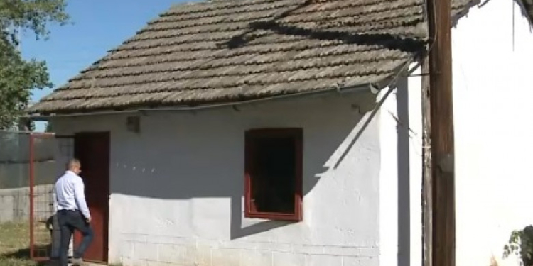 Scandal la Calafat. Primarul și-a păstrat întreaga primărie și l-a mutat pe viceprimar în adăpostul de câini