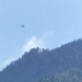 Incendiu într-o pădure din Munţii Maramureşului. Un avion militar intervine pentru a stinge flăcările