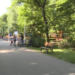 Sectorul din București care interzice circulaţia cu biciclete sau role pe pistele de alergare ori în zone de promenadă. Amenzi mari