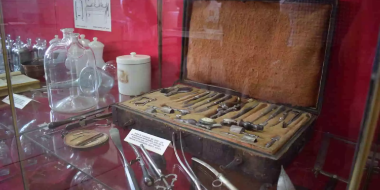 Mureş: Vizitatorii Muzeului de Istorie Sighişoara pot descoperi universul leacurilor medievale din plante şi animale