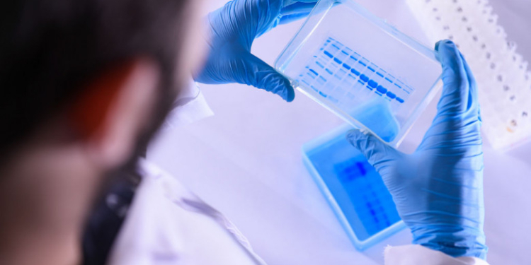 Două virusuri respiratorii banale s-au unit și au creat un virus hibrid care duce la pneumonia greu de tratat