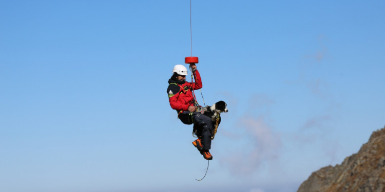 Câini Salvamont ridicați în aer cu elicopterul. Imagini spectaculoase de la un antrenament pentru intervenția la avalanșe