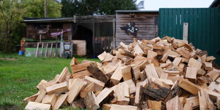 Ciolacu: Prețul lemnului de foc trebuie compensat pentru persoanele vulnerabile