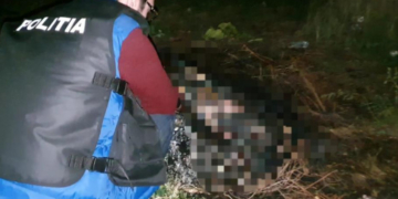 Un bărbat a fost reținut după ce i-a dat foc câinelui și l-a ucis pentru că era prea gălăgios