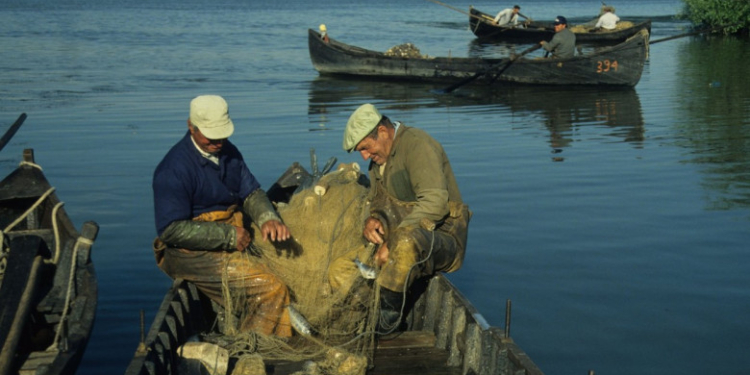 Pescuitul la năvod, activitate tradiţională în Deltă, riscă să fie suspendat anul viitor, pentru că sute de bărci ar putea fi interzise