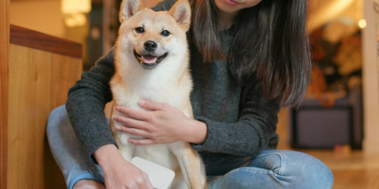 Japonezii au voie să vină la birou cu animalele lor de companie, ca să fie mai fericiți