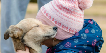 Peste 1.200 de câini au fost adoptați la târgurile organizate anul acesta în București. Nicușor Dan: Toți au ajuns la familii iubitoare