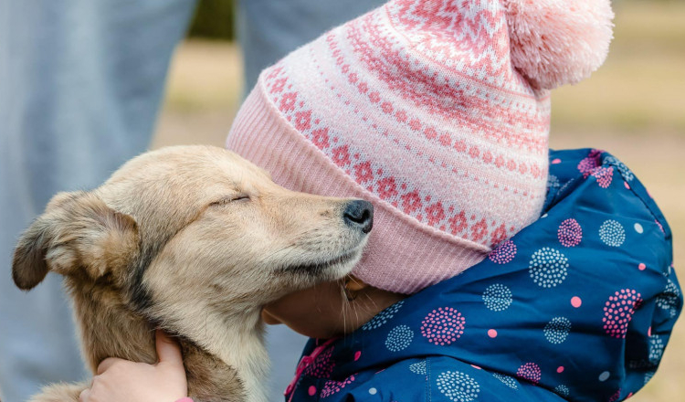 Peste 1.200 de câini au fost adoptați la târgurile organizate anul acesta în București. Nicușor Dan: Toți au ajuns la familii iubitoare