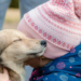 Peste 1.200 de câini au fost adoptați la târgurile organizate anul acesta în București. Nicușor Dan: Toți au ajuns la familii iubitoare