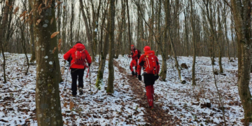 Tragedie în cazul tânărului al cărui câine s-a întors singur din pădure: A fost găsit spânzurat