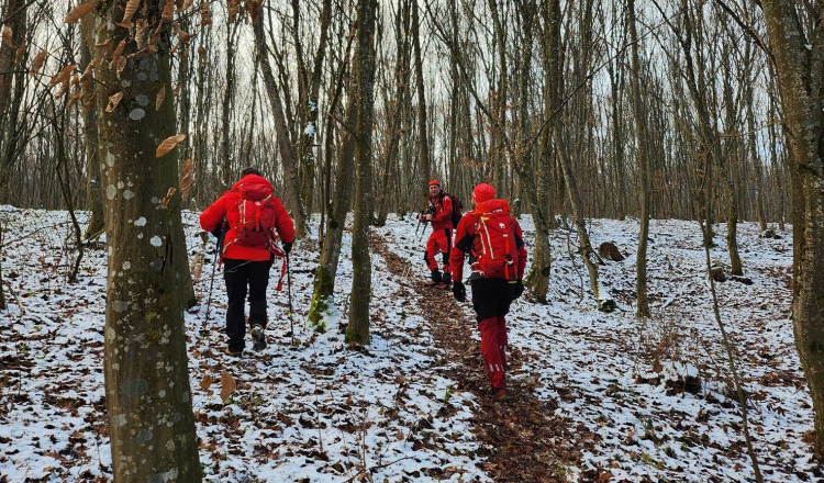 Tragedie în cazul tânărului al cărui câine s-a întors singur din pădure: A fost găsit spânzurat
