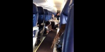 Momente dramatice filmate într-un avion lovit de gloanțe trase de traficanții de droguri din Mexic, după arestarea fiului lui El Chapo
