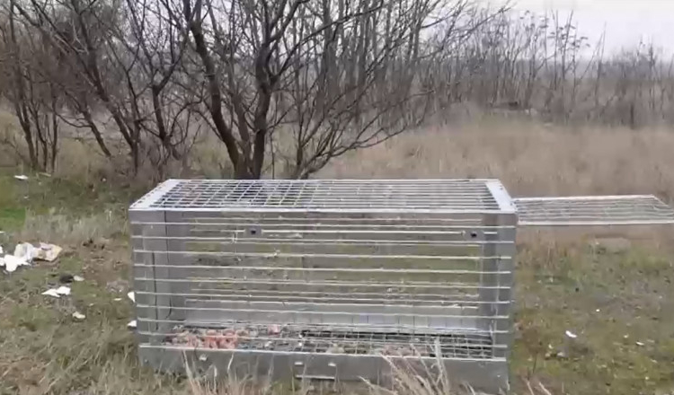 ASPA interzice jurnaliștii pe maidanul morții