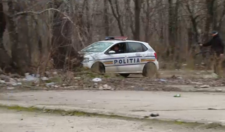 Bucureșteni alergați de câini, ignorați de poliție