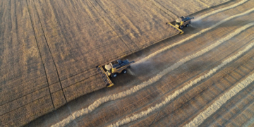 Alimentaţia oamenilor este mai puţin diversă ca oricând. Jumătate din caloriile consumate la nivel global provin de la trei plante