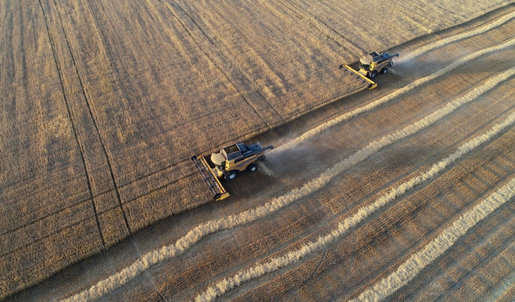 Alimentaţia oamenilor este mai puţin diversă ca oricând. Jumătate din caloriile consumate la nivel global provin de la trei plante