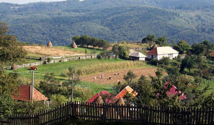 Comuna cea mai mică din România are locuitori cât să încapă într-un bloc