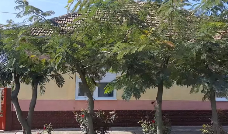 Aproape în fiecare zi un român cumpără o casă în Ungaria la un preț de 10 ori mai mic decât în România