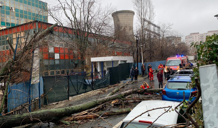 Vântul puternic a făcut victime în Capitală. O tânără și o mamă cu copilul ei răniți de copacii prăbușiți