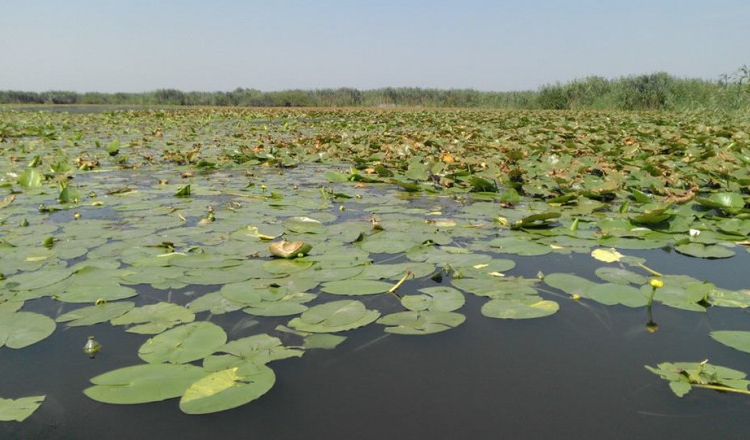 Guvernatorul Deltei Dunării: Este imposibil să vedem ce se întâmplă pe Bâstroe, despre adâncire nu am avut nicio informare