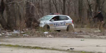 O femeie din București a fost omorâtă de un câine pe care voia să-l hrănească